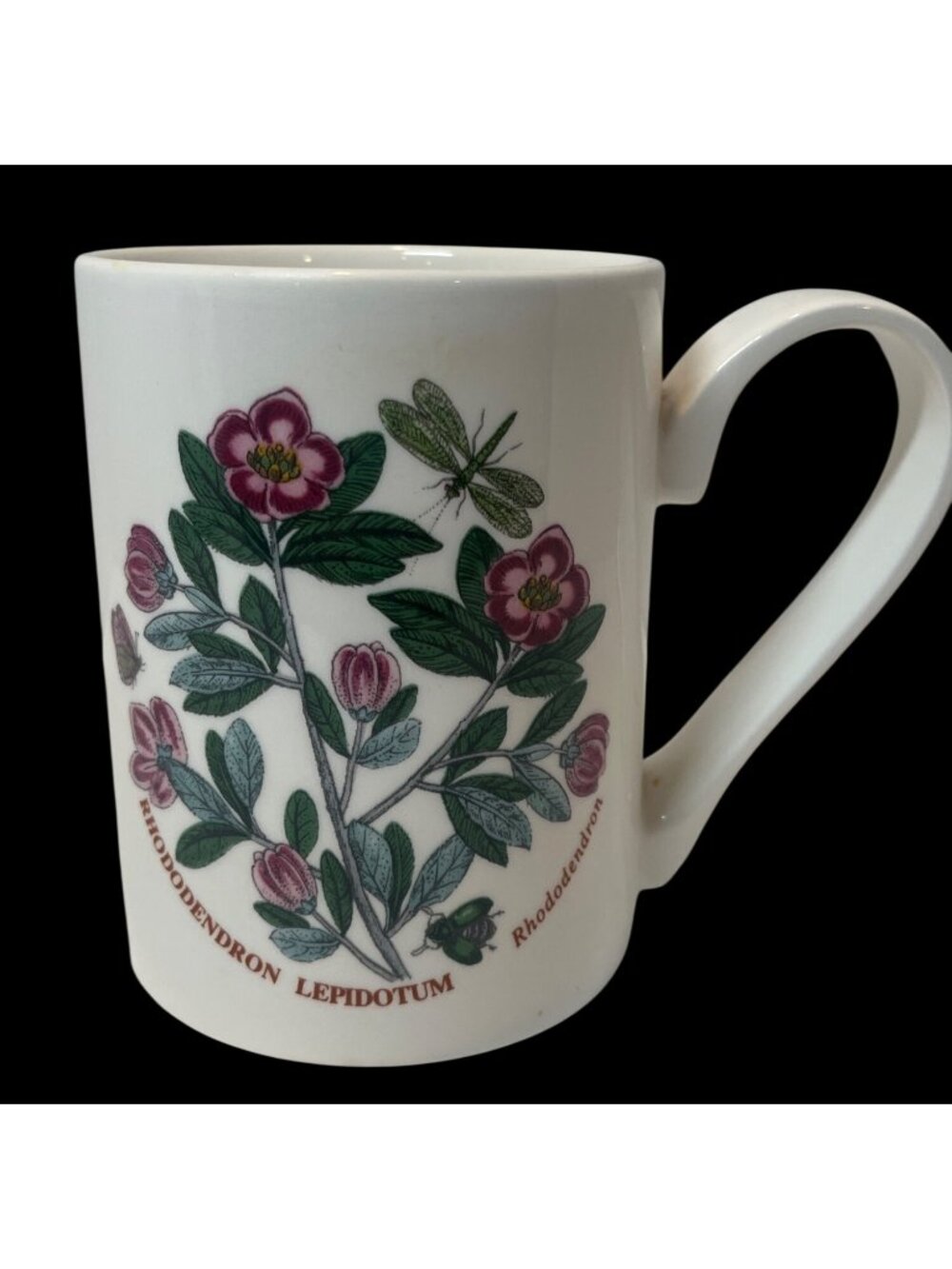 Portmeirion Rhododendron Lepidote Botanical Mug with Dragonfly & Bee Design